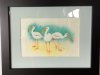 Ibis in Florida  original watercolor  framed and matted  $70
