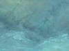 im005098