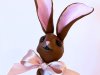 Looks like chocolate