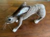 hare