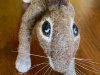 hare