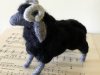 ram