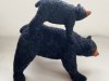 bears