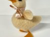 duckling