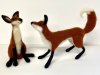foxes