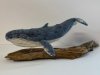 whale